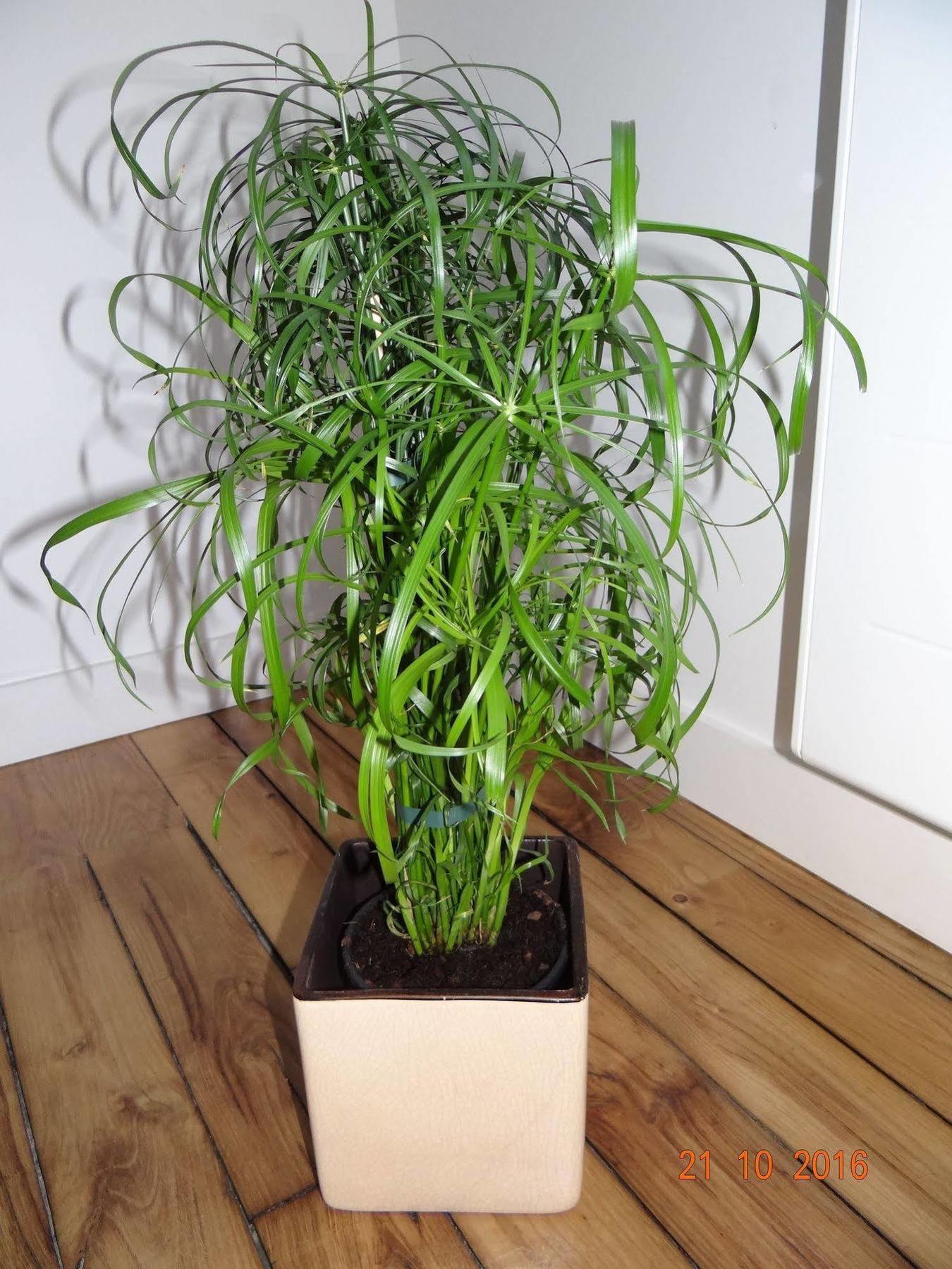Garden Apparts Rennes Centre Gare Εξωτερικό φωτογραφία